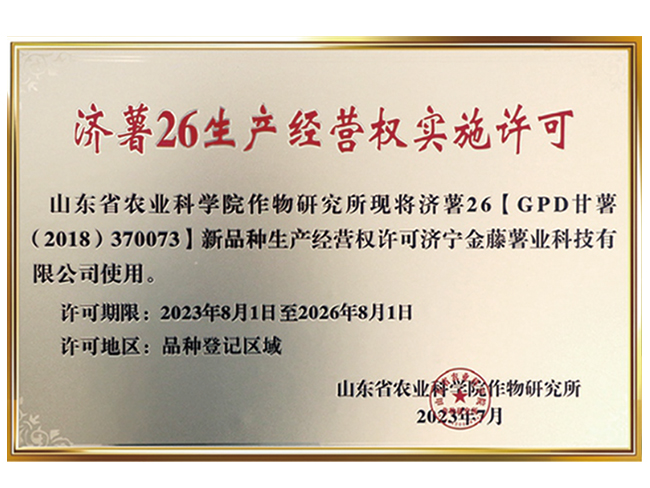 濟(jì)薯26生產(chǎn)經(jīng)營(yíng)權(quán)實(shí)施許可