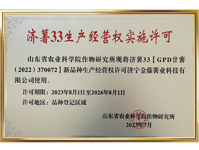 濟(jì)薯33生產(chǎn)經(jīng)營(yíng)權(quán)實(shí)施許可